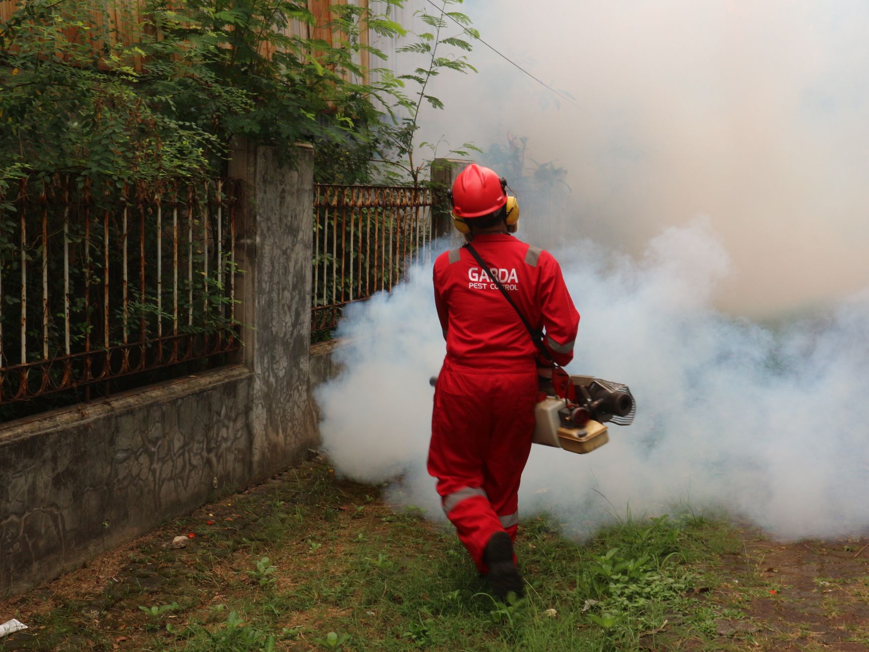 Depuis 2023, étude révèle lien entre pesticides et cancers pédiatriques