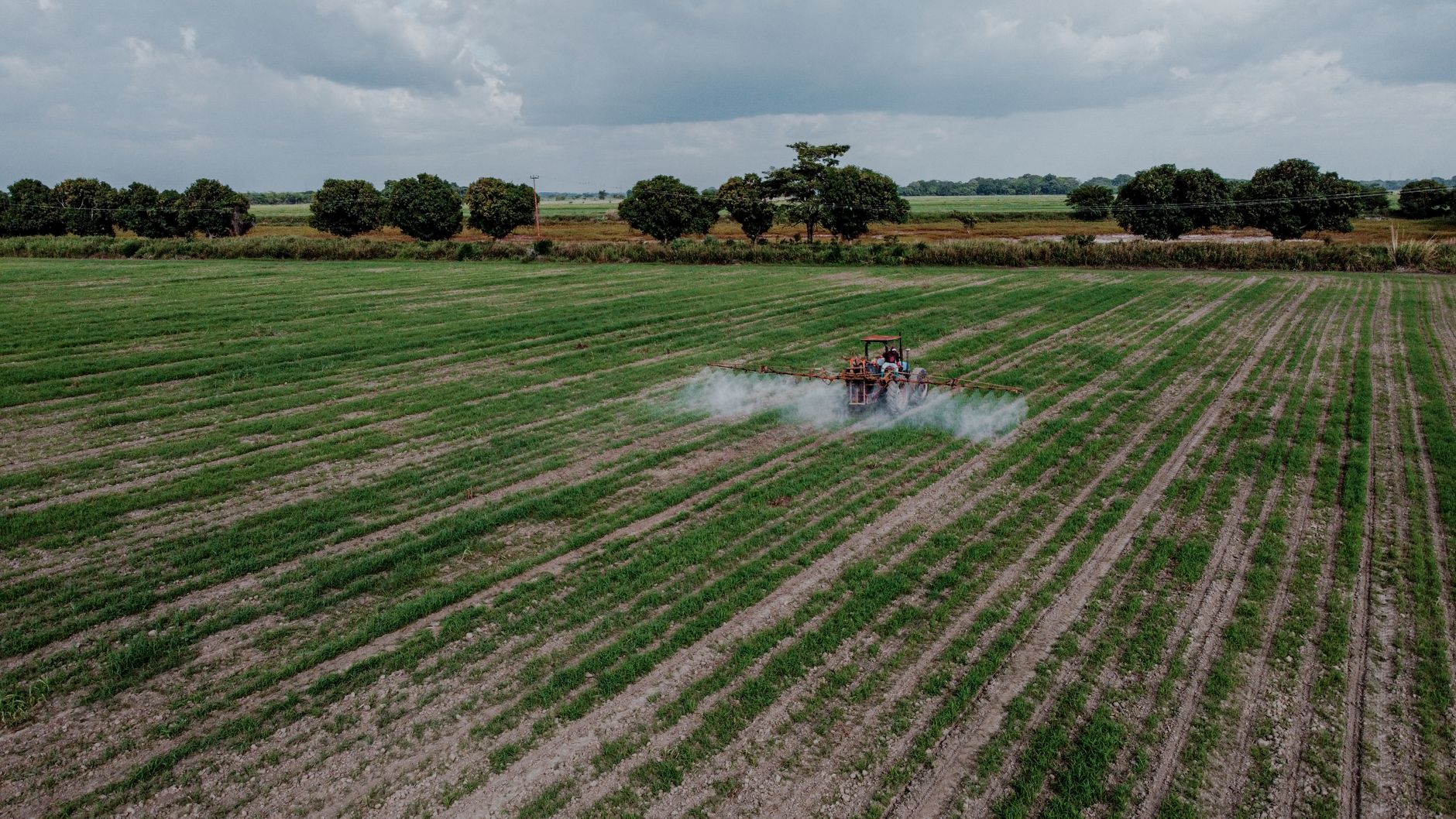 Enfants malades : le lourd tribut des pesticides en agriculture