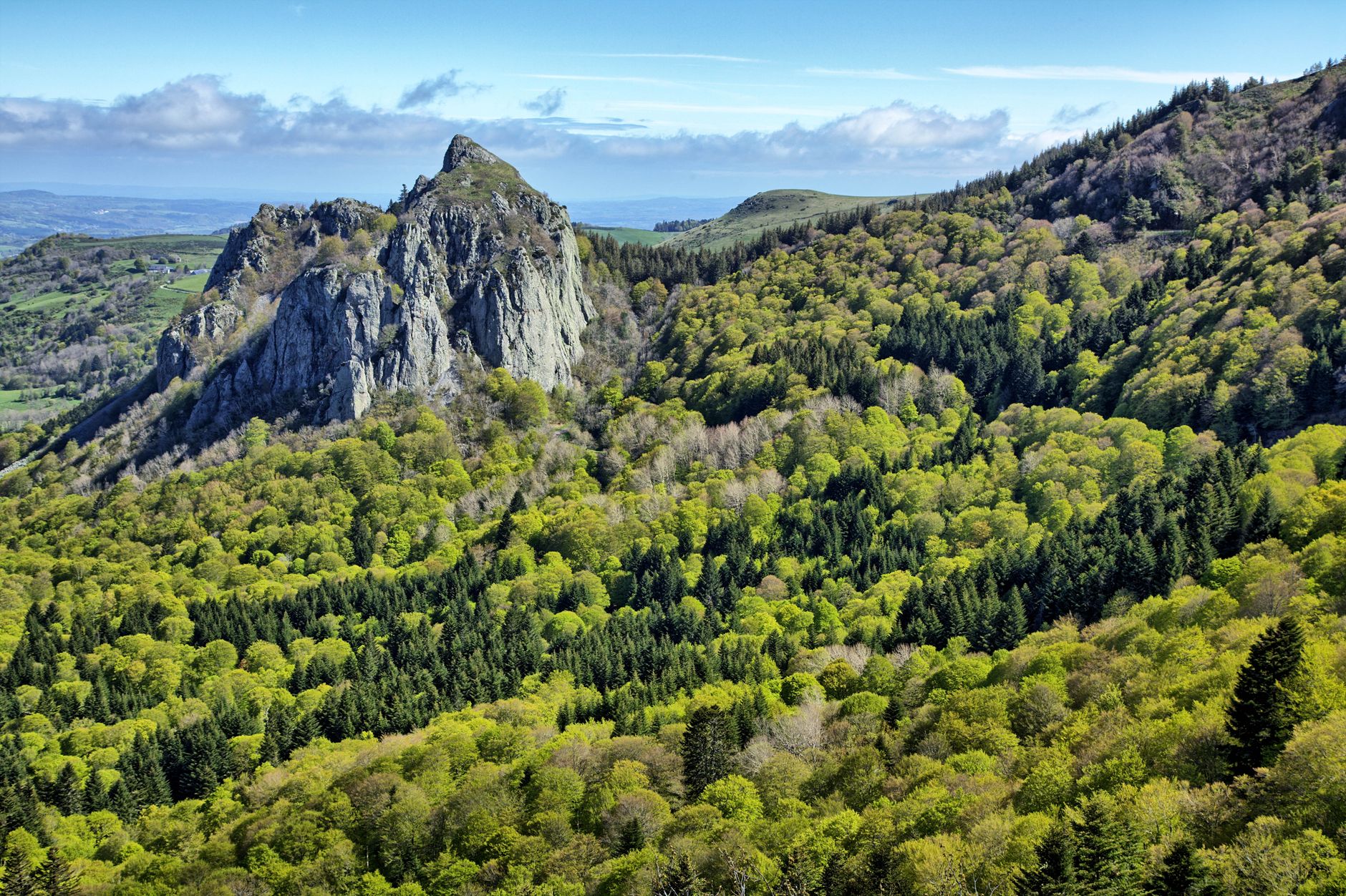 Une loi controversée : quelles répercussions pour la biodiversité en France ?