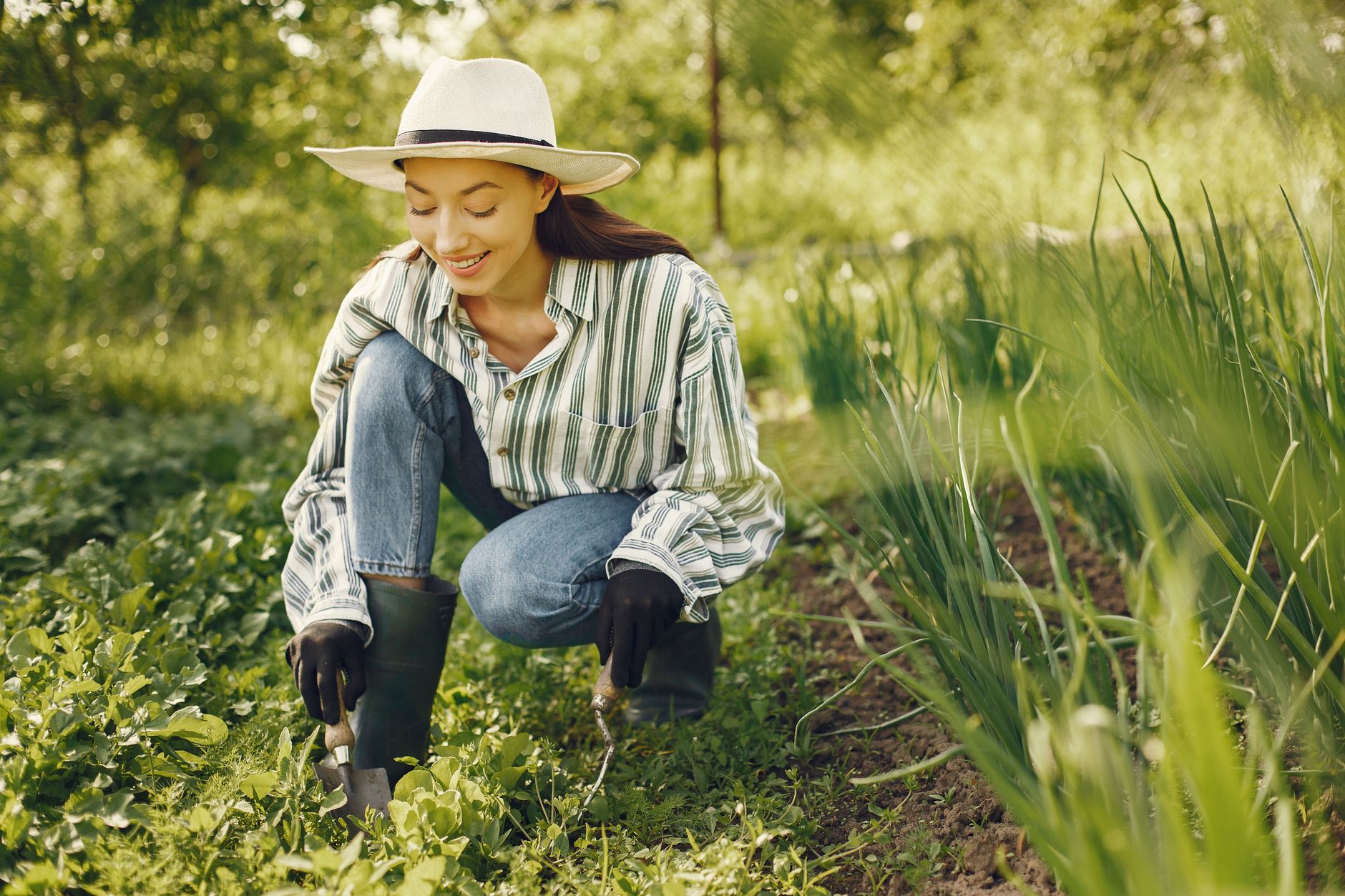 Pourquoi cultiver vos propres légumes est plus qu'une tendance : une nécessité face aux crises environnementales
