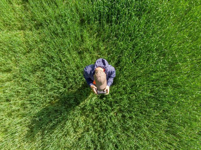 Drone au-dessus du jardin : ce que dit vraiment la loi