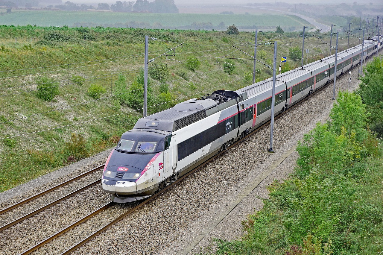 Choisir le bon train pour votre famille
