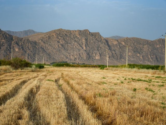 Sécheresse : 74 départements en crise, un impact alarmant sur l&rsquo;agriculture