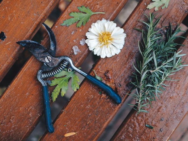 Réduction de 300 millions : l&rsquo;impact sur vos jardins dès 2027