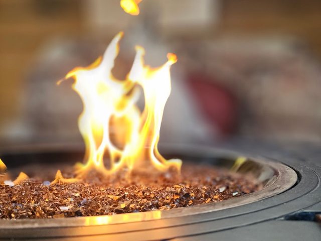 Depuis septembre, jardiner sous 36 °C : défis et solutions