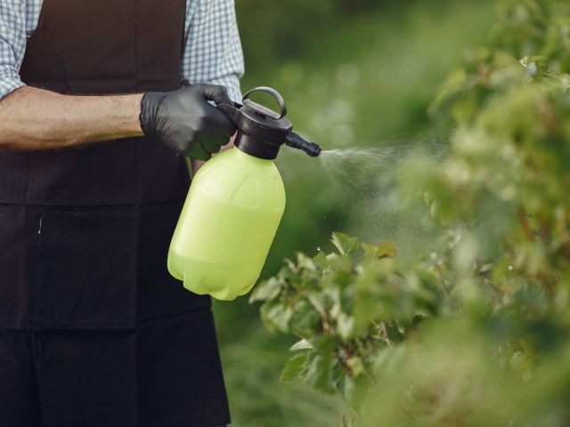 L&rsquo;usage des pesticides en France explose malgré les promesses de réduction