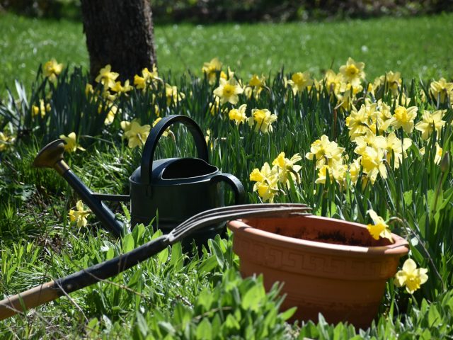 Jardin au printemps : 7 étapes pour le remettre en forme