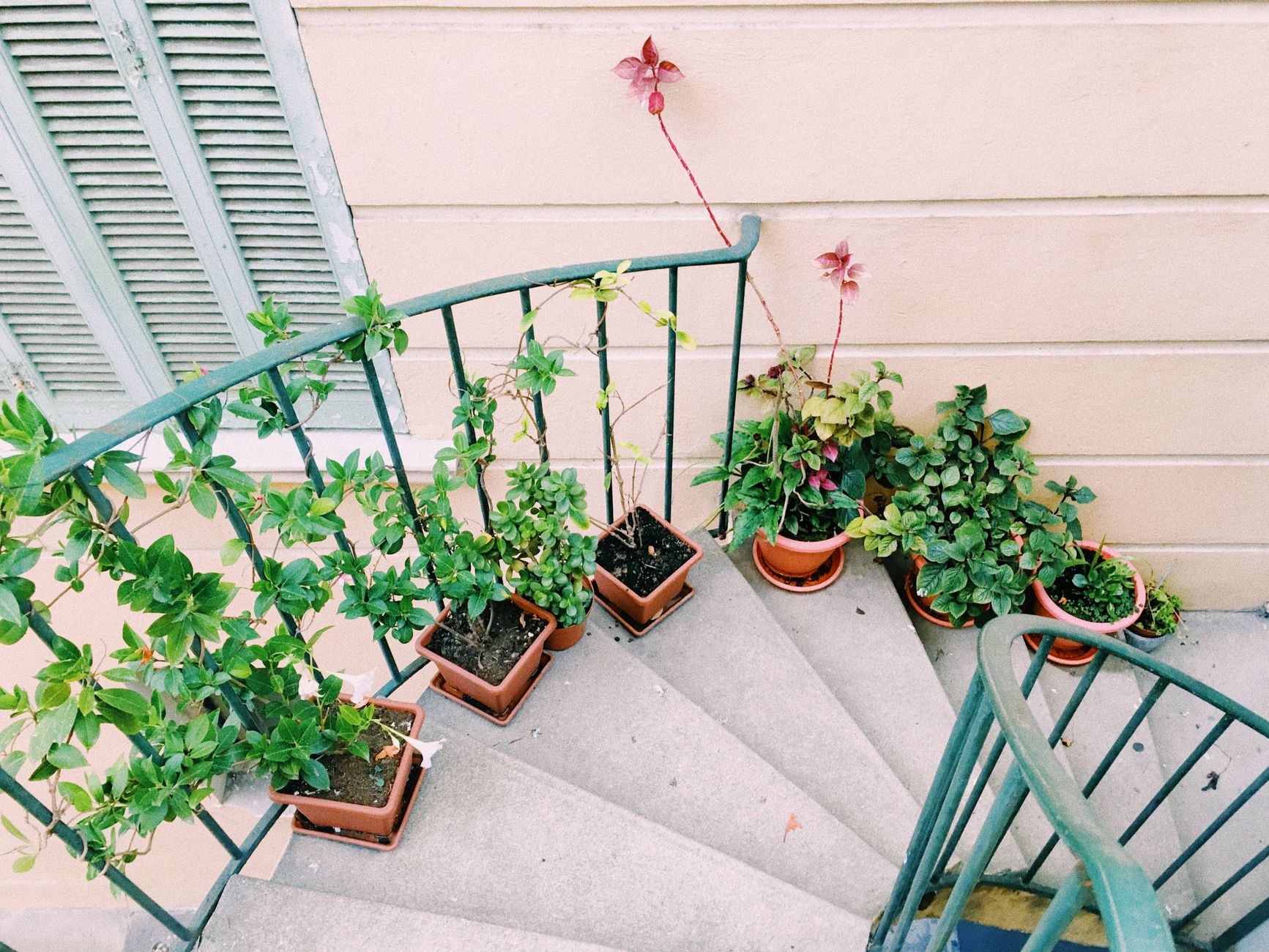 Créer un potager en bacs sur balcon : conseils faciles