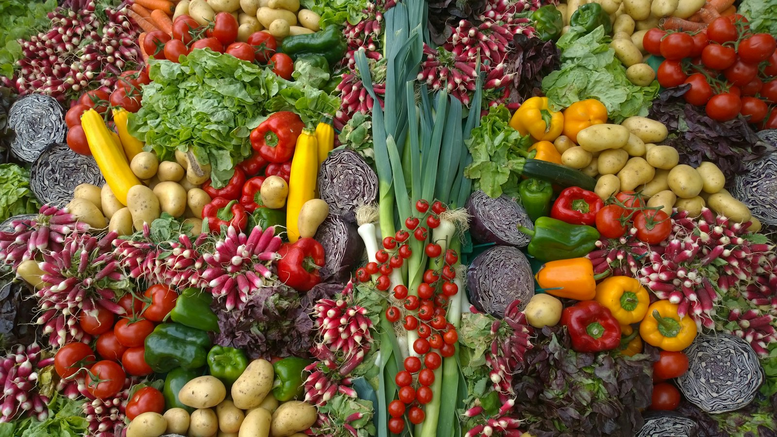 Automne en cuisine : recettes savoureuses à découvrir