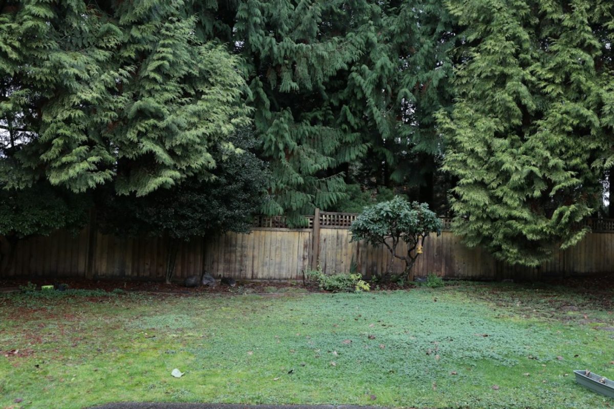 Jardin privatif : ce que le voisinage peut vous imposer