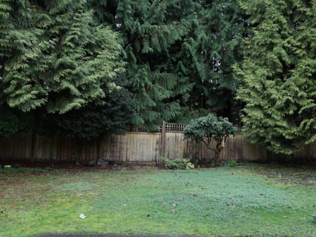 Jardin privatif : ce que le voisinage peut vous imposer