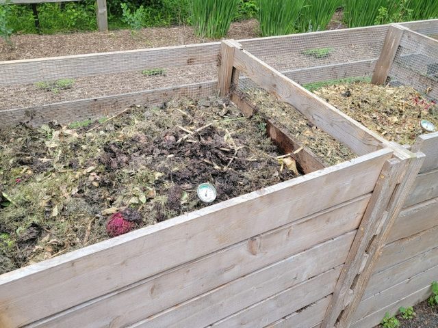 Depuis 2024, triez vos biodéchets : l&rsquo;astuce pour un compost réussi