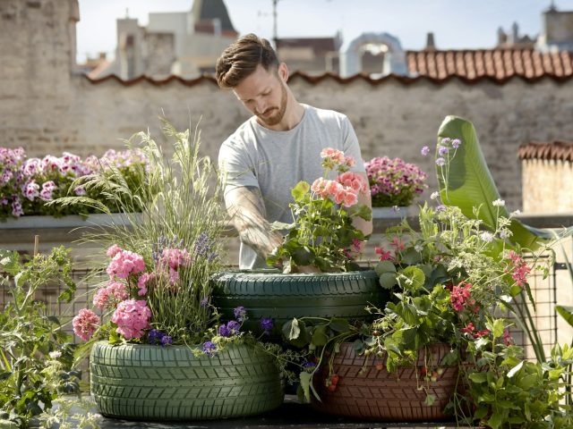 Jardinage : 5 techniques incontournables pour un jardin durable