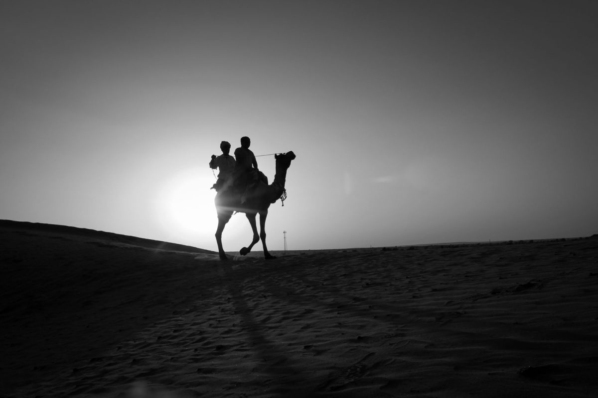 Sunset camel ride à Marrakech : le bon créneau pour une balade à dos d