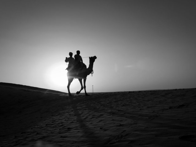Sunset camel ride à Marrakech : le bon créneau pour une balade à dos d