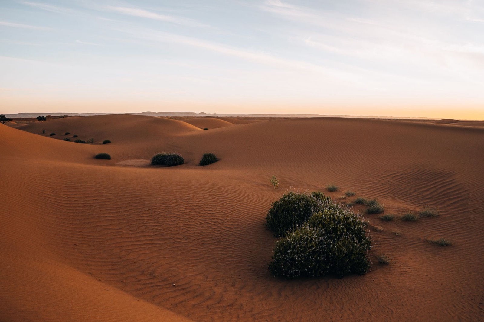 Palmeraie au coucher du soleil près de Marrakech, lumière dorée sur les dunes