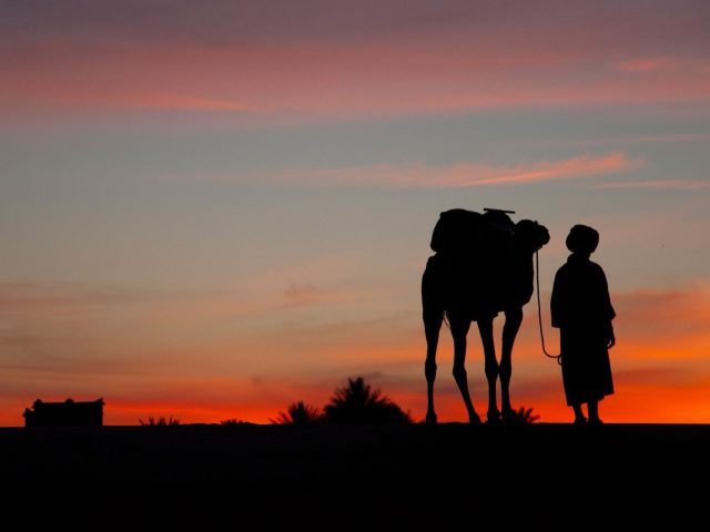Sunset camel ride à Marrakech : à quelle heure partir dans la Palmerai
