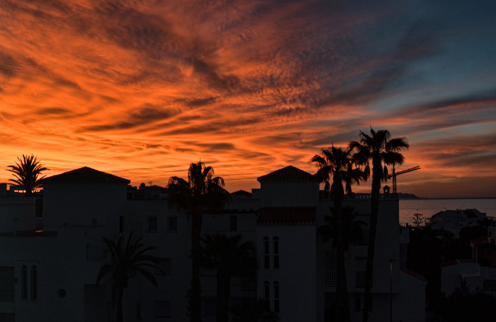 Palmeraie de Marrakech au coucher du soleil, ciel orangé entre les palmiers